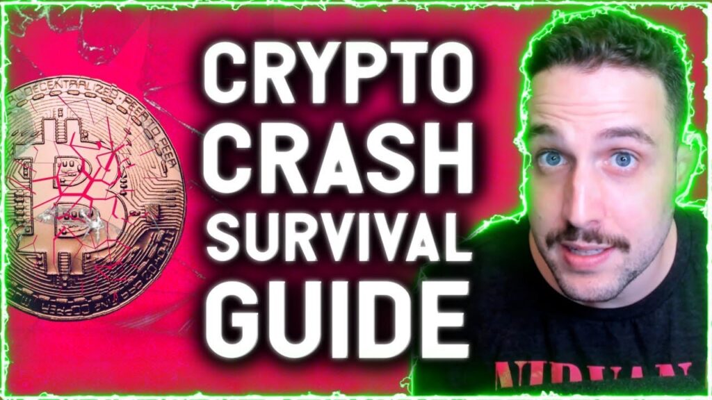 CRYPTO CRASH SURVIVAL GUIDE! THIS SECTOR IS WHERE I WILL BE LOOKING FOR THE BEST GAINS