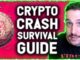 CRYPTO CRASH SURVIVAL GUIDE! THIS SECTOR IS WHERE I WILL BE LOOKING FOR THE BEST GAINS