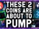 MASSIVE PUMP INCOMING!!! THESE 2 COINS ABOUT TO EXPLODE WITH THE GREATEST GAINS!!!